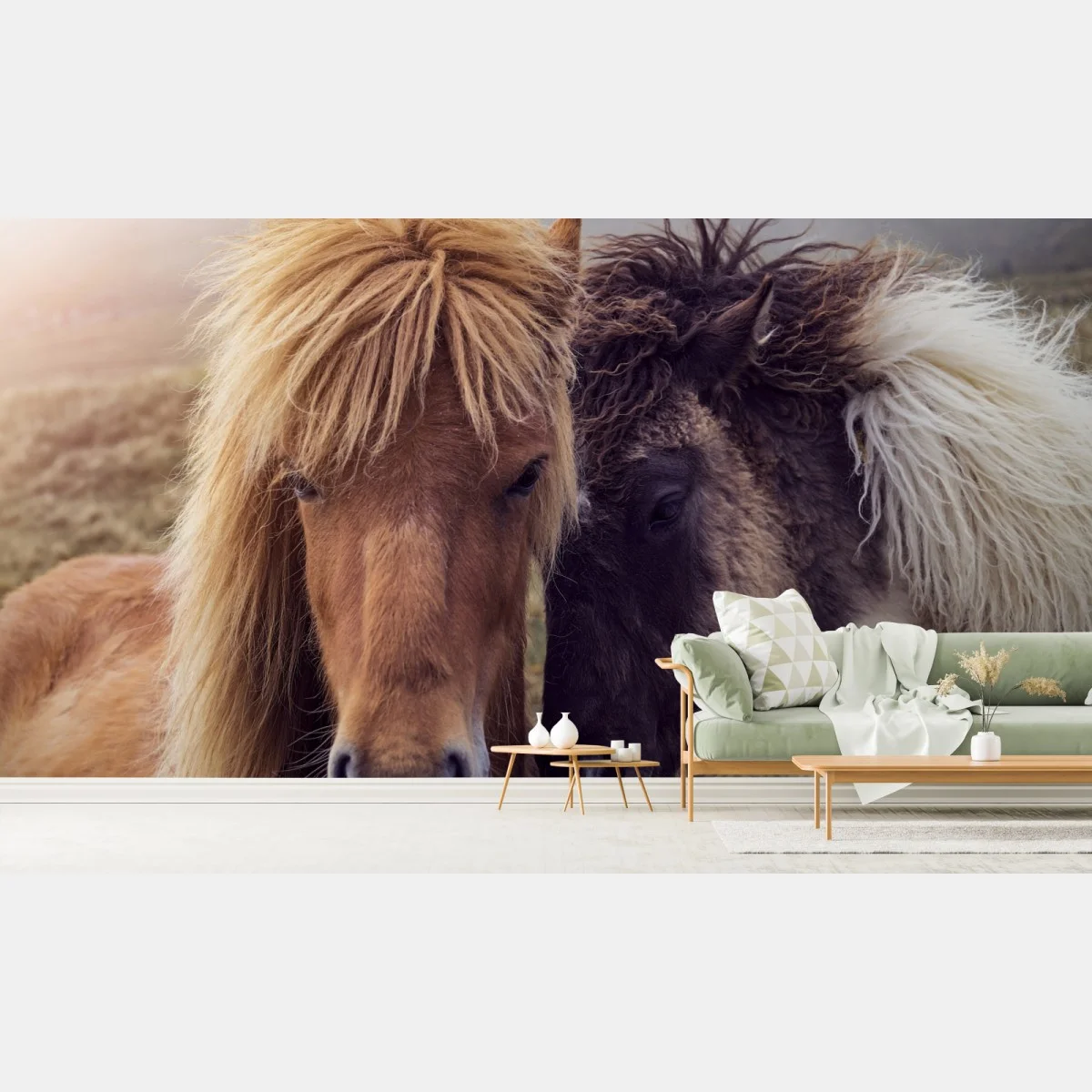 Fotomural mirada cercana: caballos en la niebla de Islas Feroe – Pixers® Fotomural mirada cercana: caballos en la niebla de Islas Feroe – Pixers®