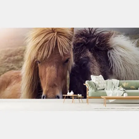 Fotomural mirada cercana: caballos en la niebla de Islas Feroe – Pixers®