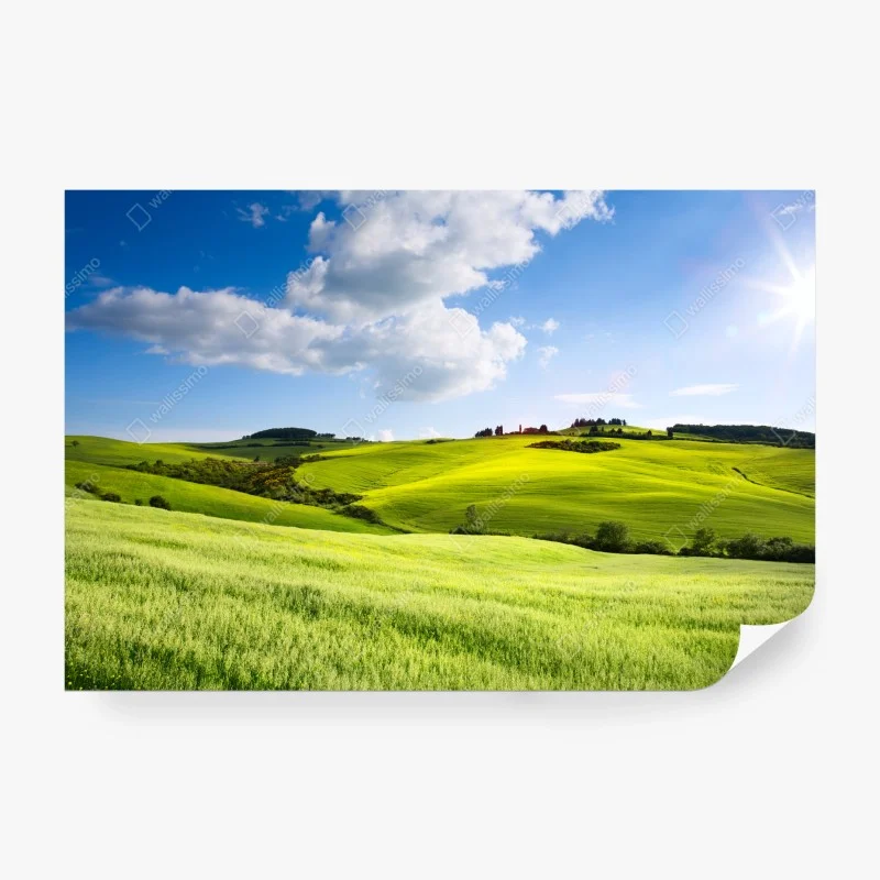 Fotomural paisaje ondulado de la Toscana al atardecer