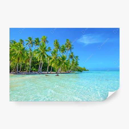 Fotomural escena tropical con palmeras y mar turquesa – Pixers®