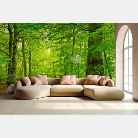 Fotomural sendero sereno en el bosque verde – Pixers®