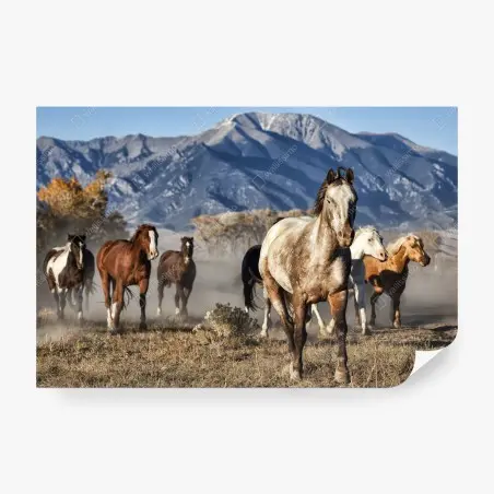 Fotomural manada en libertad en Zapata Ranch – Pixers®
