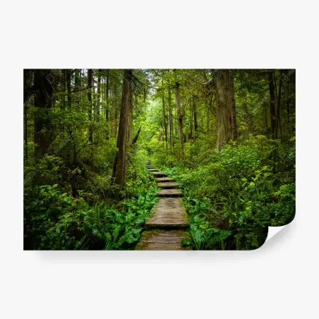 Fotomural sendero de madera en bosque esmeralda – Pixers®