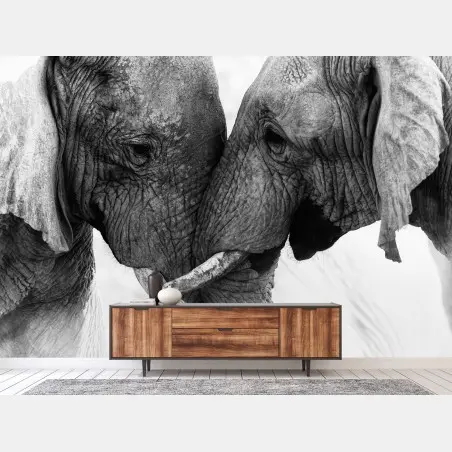 Fotomural conexión íntima entre elefantes en blanco y negro – Pixers®
