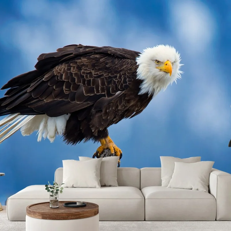 Fotomural águila calva majestuosa posada sobre rama
