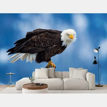 Fotomural águila calva majestuosa posada sobre rama – Pixers®