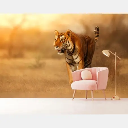 Fotomural tigre en la luz dorada del atardecer – Pixers®