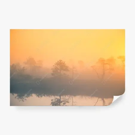 Fotomural amanecer brumoso en el humedal – Pixers®