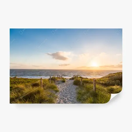 Fotomural sendero hacia la playa al atardecer – Pixers®