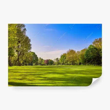 Fotomural parque verde en calma – Pixers®
