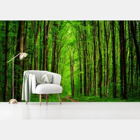 Fotomural bosque esmeralda con sendero entre árboles – Pixers®
