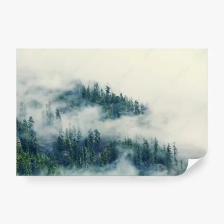 Fotomural bosque místico entre la niebla – Pixers®