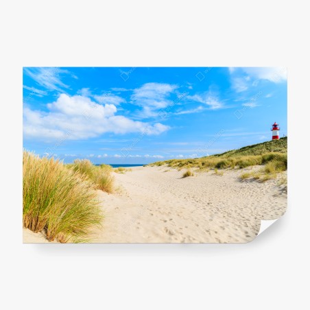 Fotomural brisa de las dunas de Ellenbogen en Sylt – Pixers®