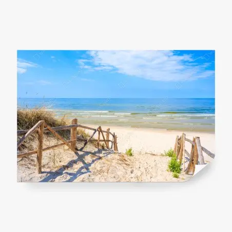 Fotomural sendero a la playa de Lubiatowo, Mar Báltico – Pixers®