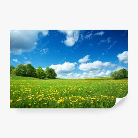 Fotomural pradera de dientes de león bajo cielo azul – Pixers®