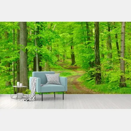 Fotomural sendero sereno en bosque primaveral – Pixers®