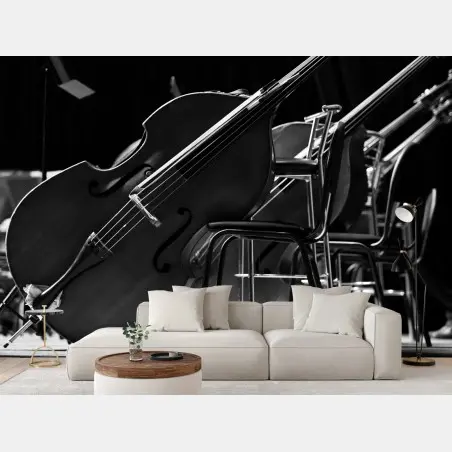 Fotomural contrabajos en blanco y negro en sala de ensayo – Pixers®