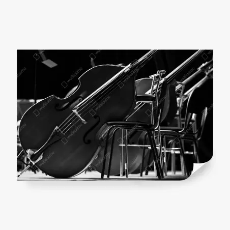 Fotomural contrabajos en blanco y negro en sala de ensayo – Pixers®