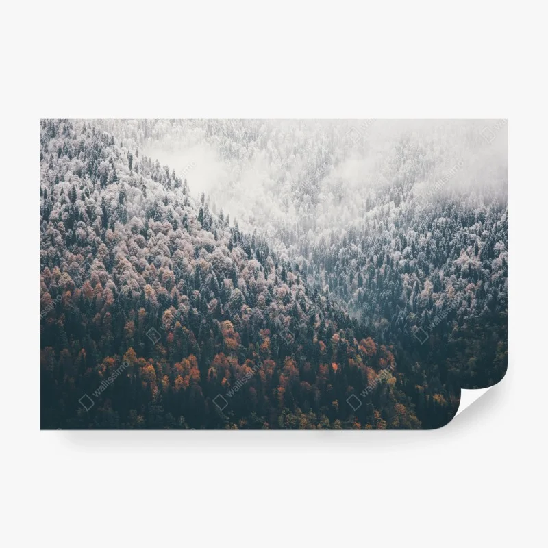 Fotomural bosque otoñal entre niebla y nieve