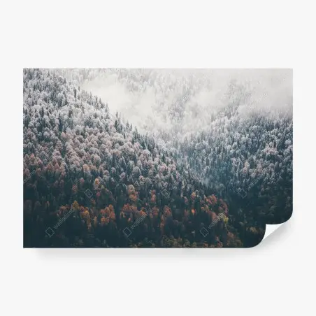 Fotomural bosque otoñal entre niebla y nieve – Pixers®