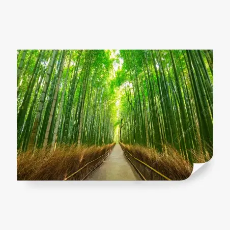 Fotomural paseo sereno en el bosque de bambú de Arashiyama, Kyoto – Pixers®
