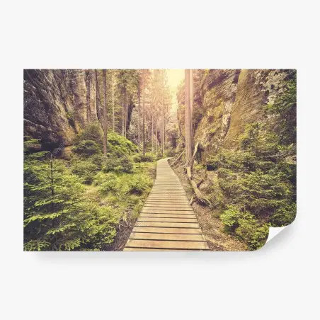 Fotomural camino de madera entre rocas en Adrspach Teplice – Pixers®