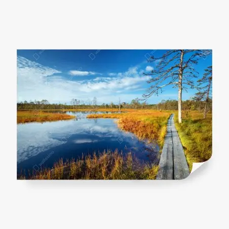 Fotomural sendero de madera en humedal otoñal – Pixers®