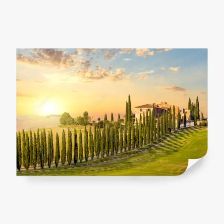 Fotomural atardecer dorado en Toscana – Pixers®
