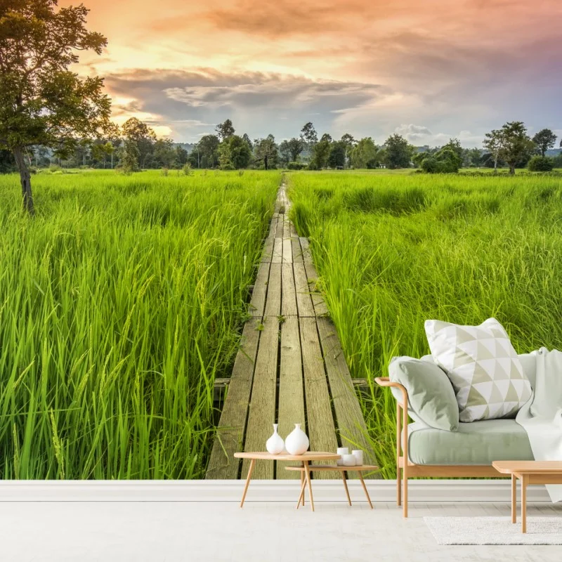 Fotomural sendero de madera centenario entre arrozales en Khonburi, Nakhon Ratchasima, Tailandia