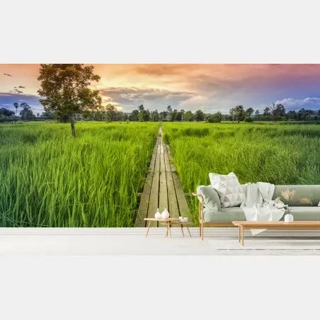Fotomural sendero de madera centenario entre arrozales en Khonburi, Nakhon Ratchasima, Tailandia – Pixers®