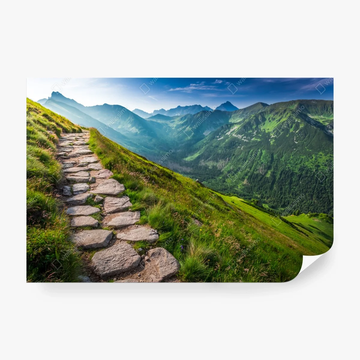Fotomural sendero panorámico en los Tatras, Polonia – Pixers® Fotomural sendero panorámico en los Tatras, Polonia – Pixers®