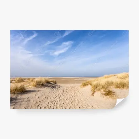 Fotomural dunas serenas en la costa de Alemania – Pixers®