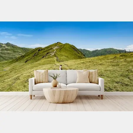Fotomural sendero serpenteante en los Alpes de Zillertal – Pixers®