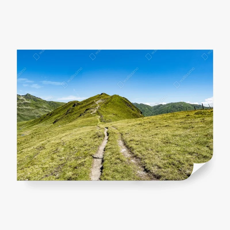 Fotomural sendero serpenteante en los Alpes de Zillertal