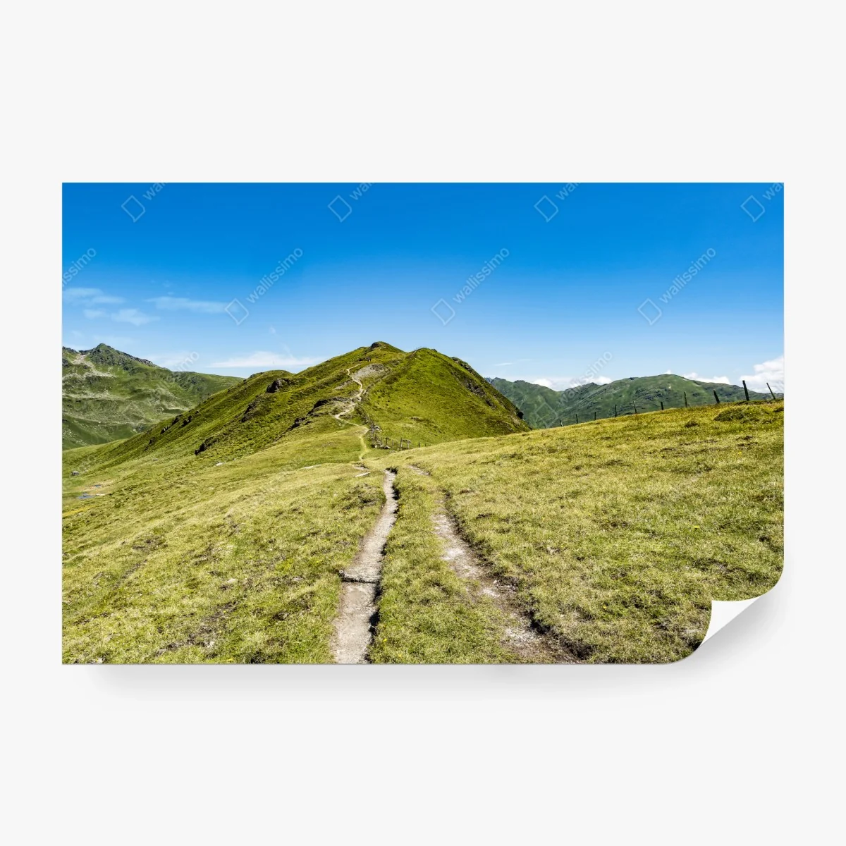 Fotomural sendero serpenteante en los Alpes de Zillertal – Pixers® Fotomural sendero serpenteante en los Alpes de Zillertal – Pixers®