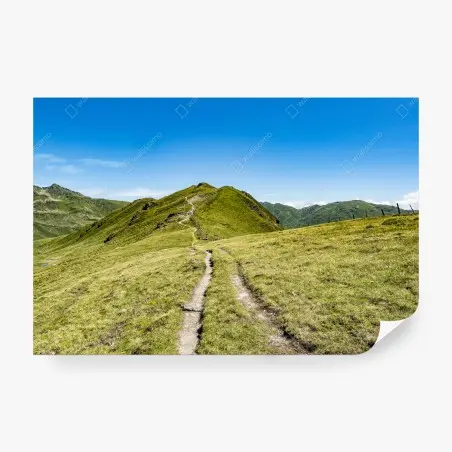 Fotomural sendero serpenteante en los Alpes de Zillertal – Pixers®