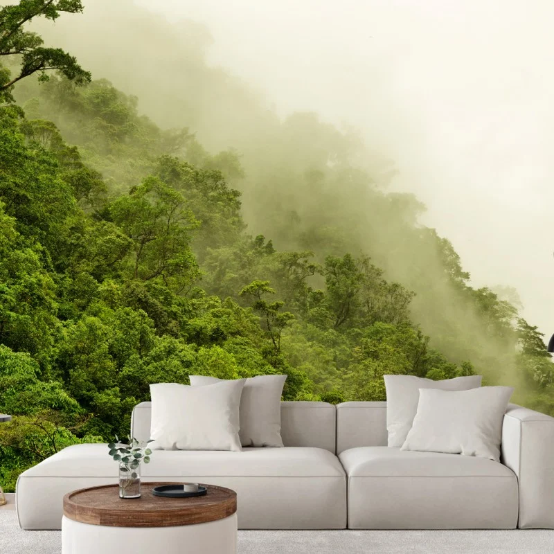 Fotomural selva tropical brumosa en Cairns, Queensland