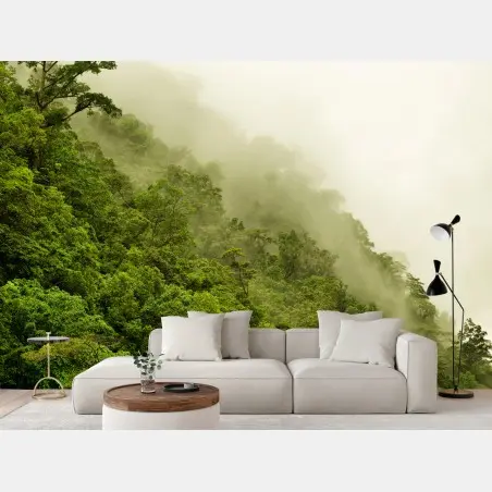 Fotomural selva tropical brumosa en Cairns, Queensland – Pixers®