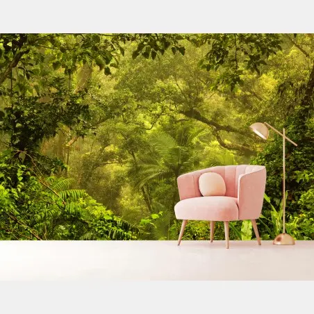 Fotomural amanecer dorado en la selva de Cairns – Pixers®