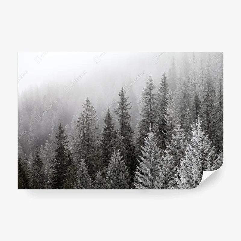 Fotomural bosque invernal entre niebla en los Cárpatos, Ucrania