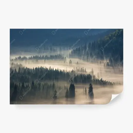 Fotomural paisaje brumoso de abetos en valle montañoso – Pixers®