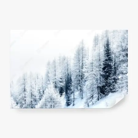 Fotomural silencio invernal en el bosque nevado – Pixers®