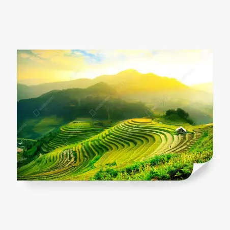 Fotomural arrozales en terrazas al amanecer – Pixers®