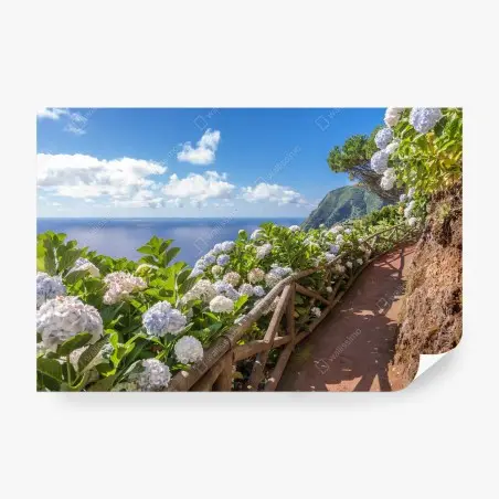 Fotomural sendero costero con hortensias en Sao Miguel – Pixers®