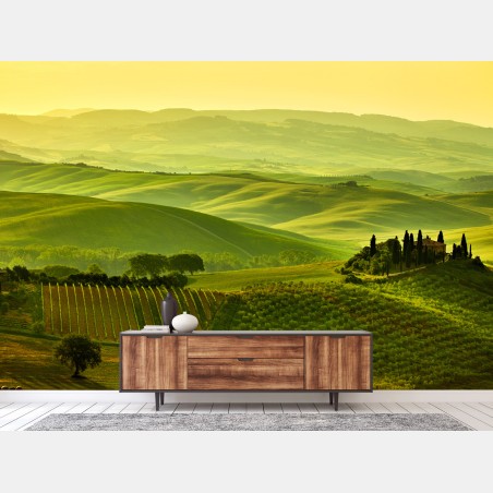 Fotomural sueños de la Toscana: colinas doradas – Pixers®