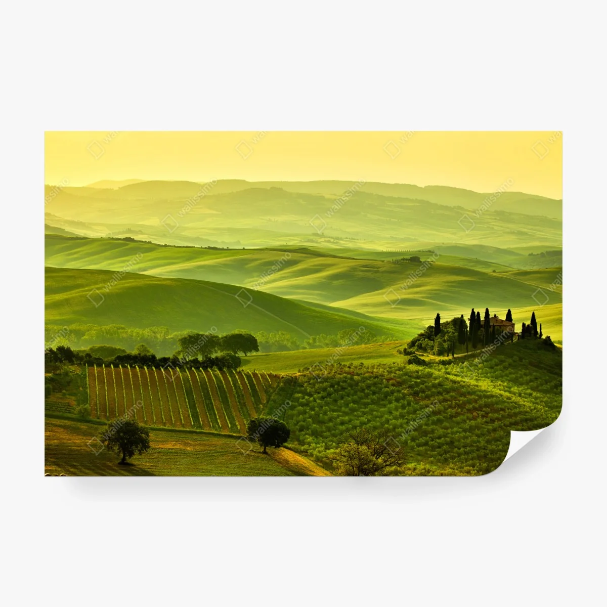 Fotomural sueños de la Toscana: colinas doradas – Pixers® Fotomural sueños de la Toscana: colinas doradas – Pixers®