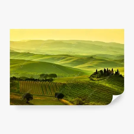 Fotomural sueños de la Toscana: colinas doradas – Pixers®