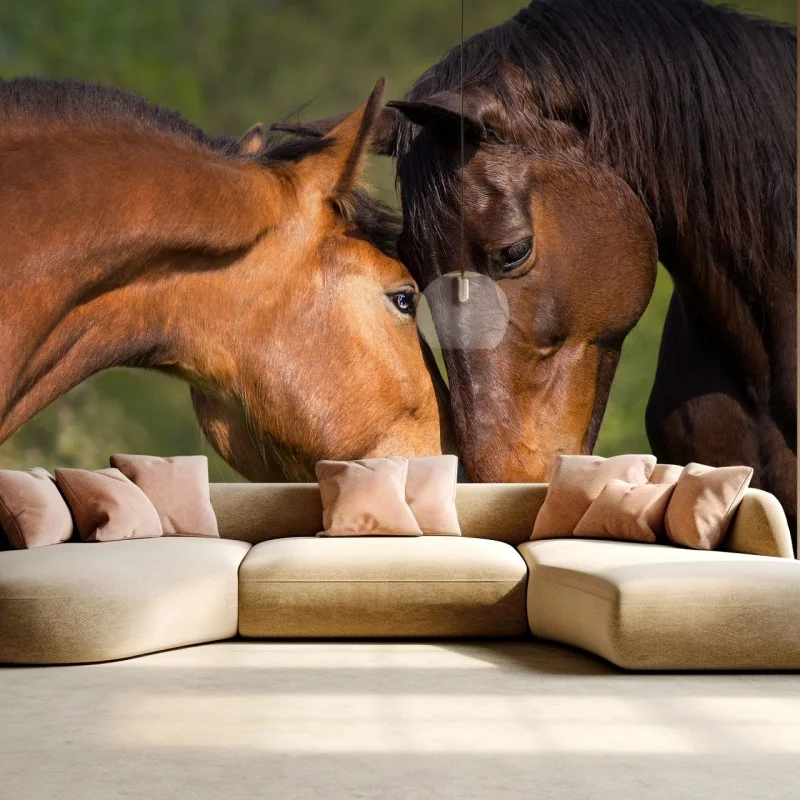 Fotomural mirada íntima de dos caballos