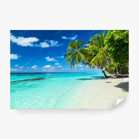 Fotomural escena de playa tropical con palmeras – Pixers®