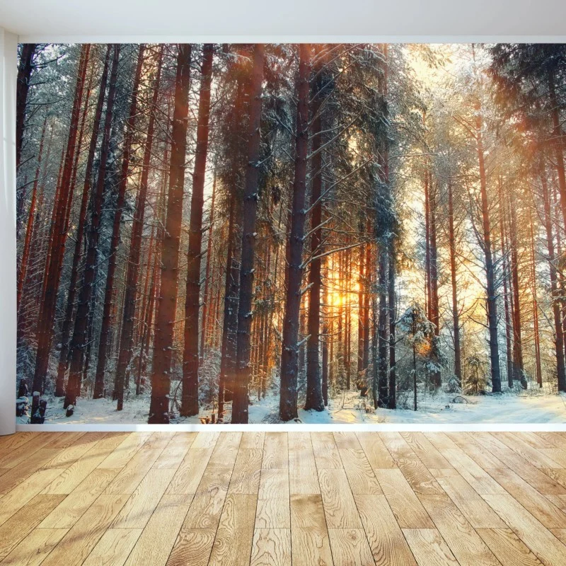 Fotomural amanecer invernal en el bosque